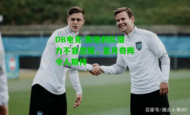 DB电竞:奥地利队潜力不容忽视，星月奇阵令人期待