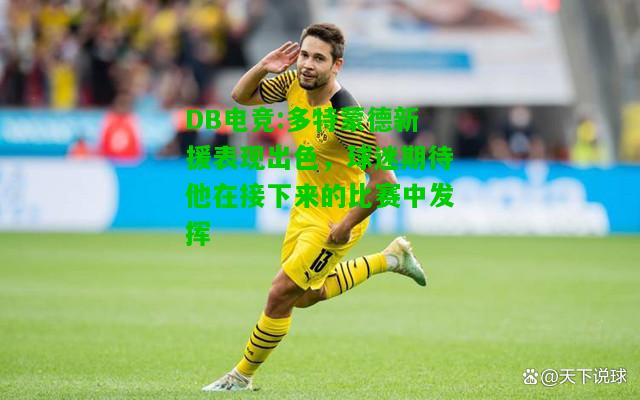 DB电竞:多特蒙德新援表现出色，球迷期待他在接下来的比赛中发挥