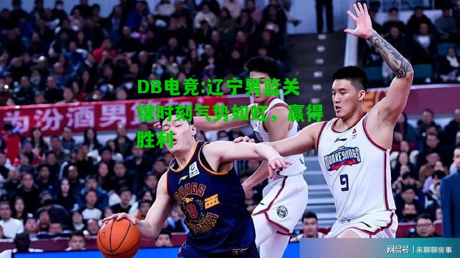 DB电竞:辽宁男篮关键时刻气势如虹，赢得胜利