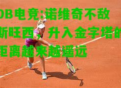 DB电竞:诺维奇不敌斯旺西，升入金字塔的距离越来越遥远