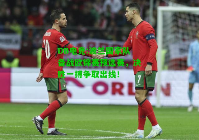 DB电竞:波兰国家队备战欧锦赛预选赛，决胜一搏争取出线！
