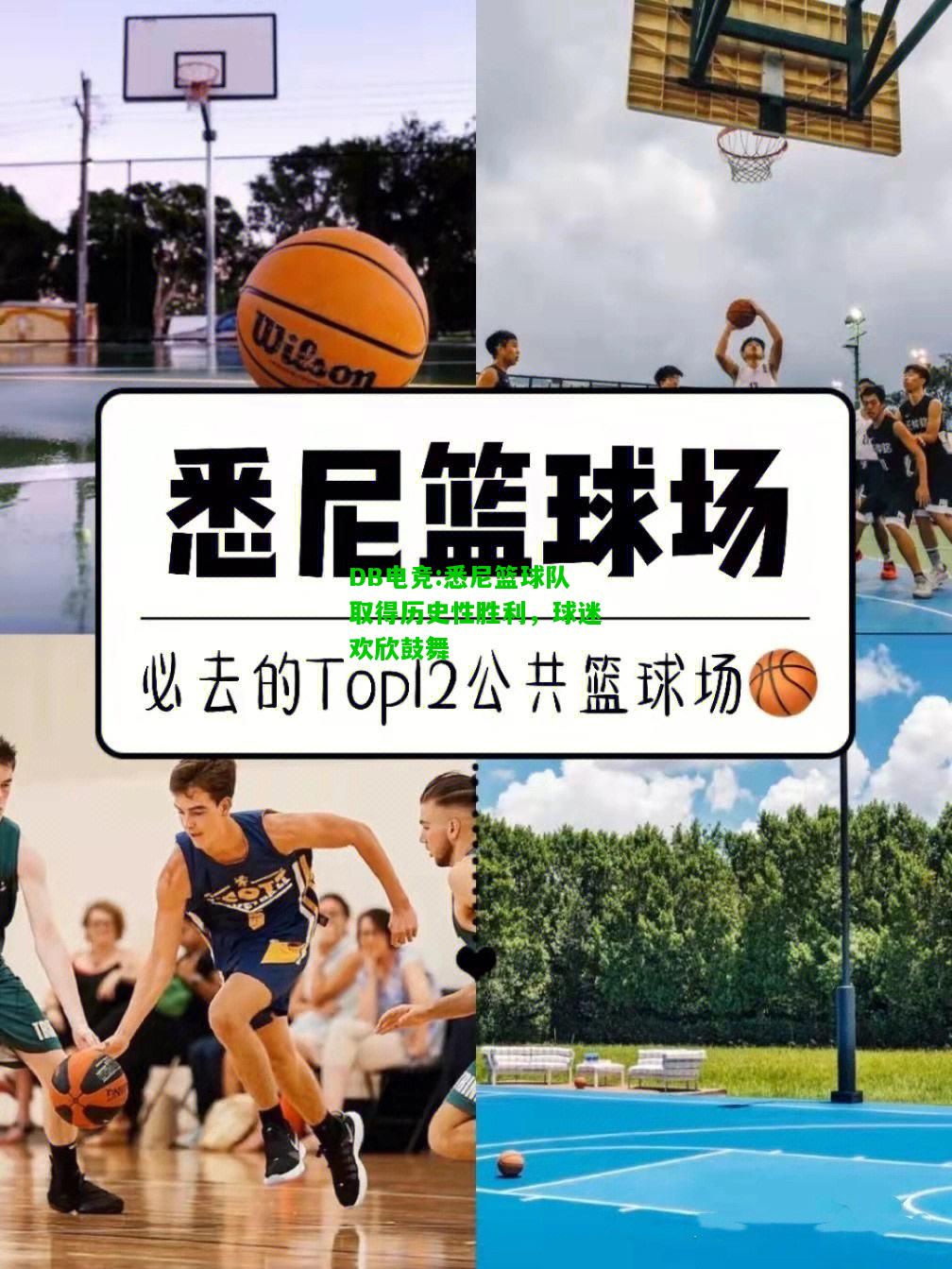 DB电竞:悉尼篮球队取得历史性胜利，球迷欢欣鼓舞