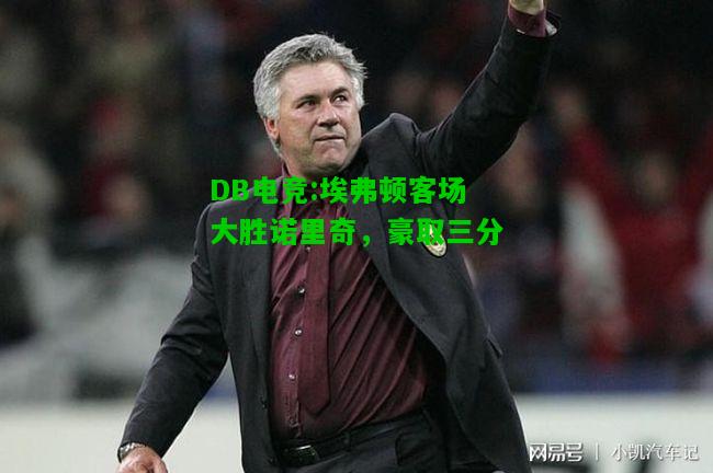 DB电竞:埃弗顿客场大胜诺里奇，豪取三分