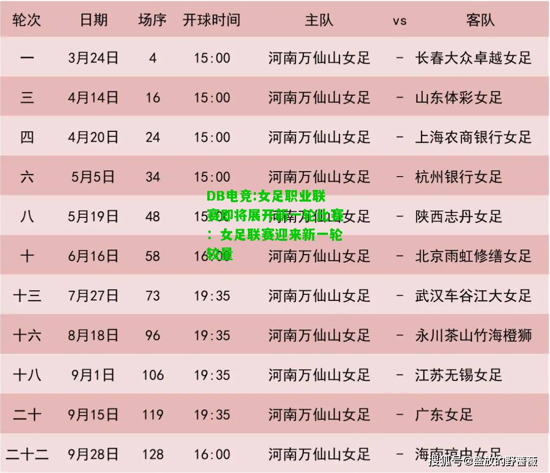 DB电竞:女足职业联赛即将展开新一轮比赛：女足联赛迎来新一轮较量