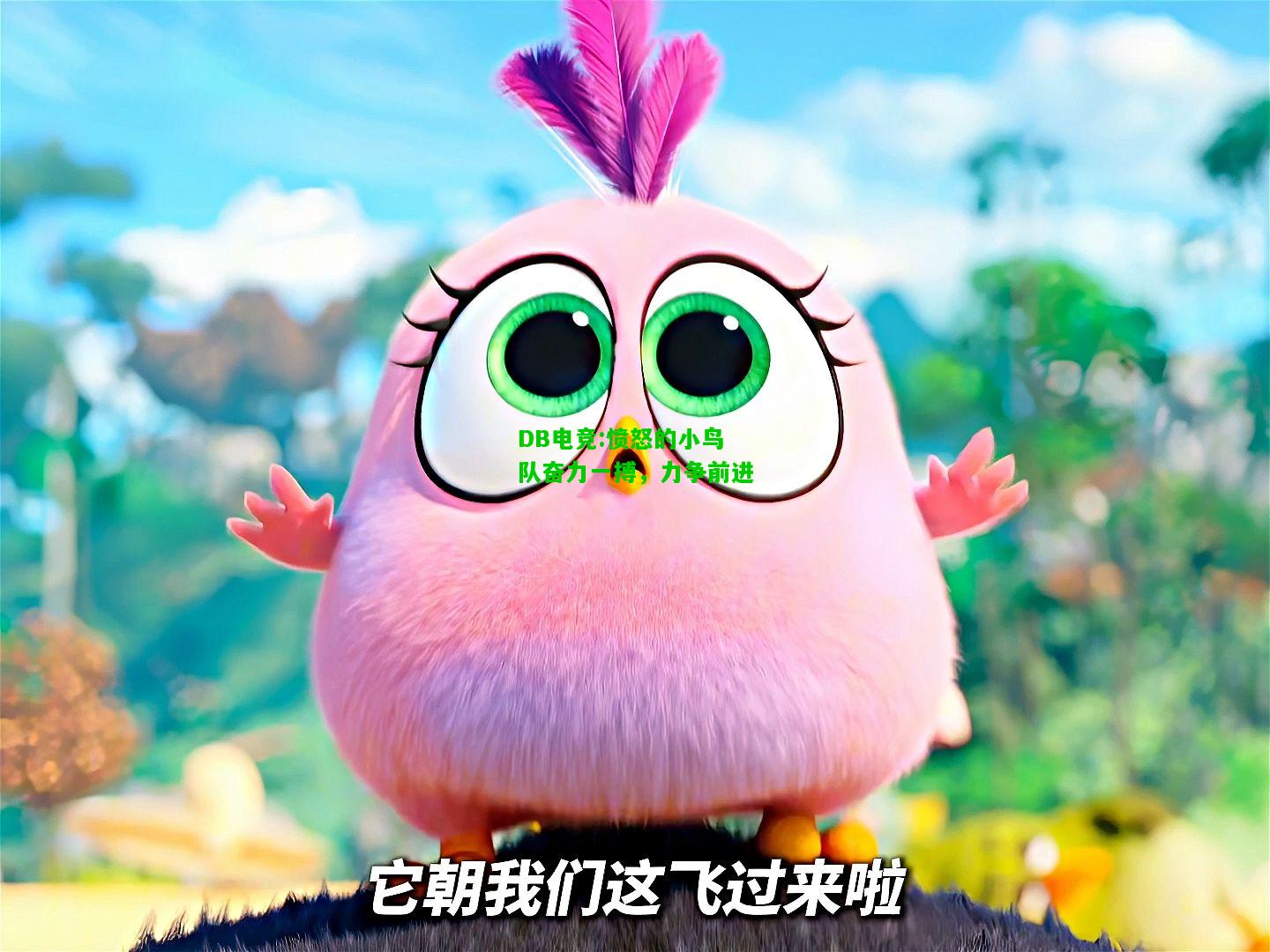 DB电竞:愤怒的小鸟队奋力一搏，力争前进